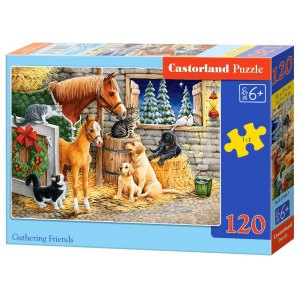 PUZZLE 120EL. GATHERING FRIEND