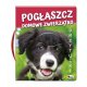 POGŁASZCZ DOMOWE ZWIERZĄTKO