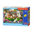 PUZZLE 180EL. PETS IN THE PARK