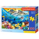 PUZZLE 100 DOLPHINS IN TROPICS