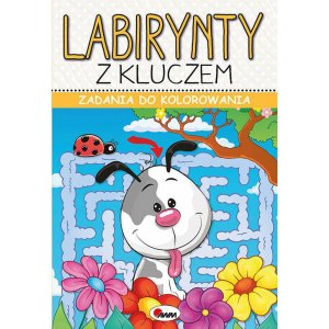 ZADANIA DO KOL. LAB. Z KLUCZEM