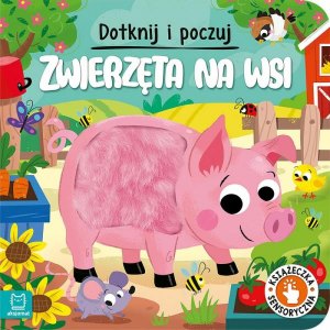 ZWIERZĘTA NA WSI SENSORYCZNA