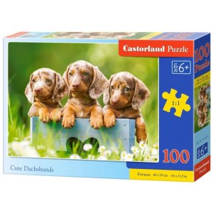 PUZZLE 100 CUTE DACHSHUNDS